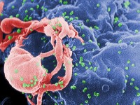 New research gives hope to HIV cure using ‘molecular scissors’