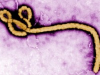 Can Ebola Virus hit Pakistan? How to prevent yourself?
