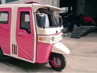 Pink Rickshaws: Women Empowerment