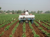 Mapping Soil Fertility to Boost Pakistan’s Agricultural Production