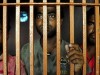 Pakistan Releases 138 Indian Fishermen