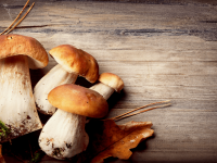 Top 6 Health Benefits of Mushrooms