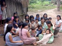 On average, Tsimane women have nine children. Credit: Michael Gurven