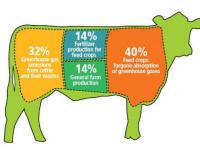 Eat less meat and save the environment