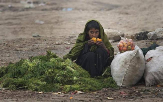 Food Insecurity Is A Bigger Problem Than It Looks Voice Of Journalists food-insecurity-is-a-bigger-problem-than-it-looks-voice-of-journalists