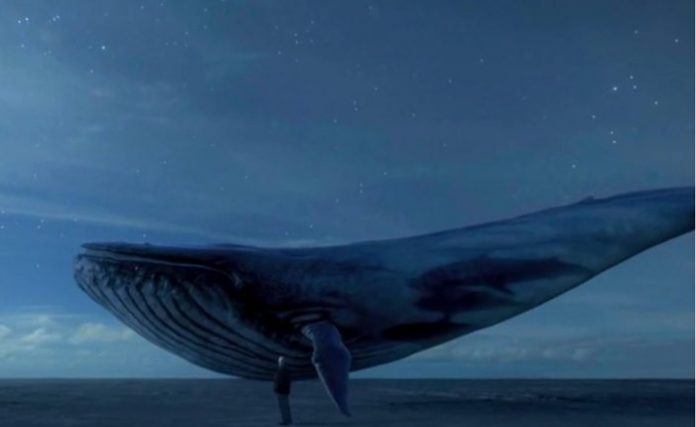 The mystery of the killer “Blue Whale” game