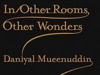 In Other Rooms, Other Wonders: A book that explains the darkest mindset of our society