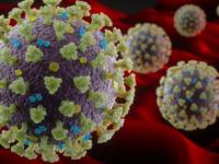 Coronavirus: Did COVID-19 leak from Chinese or US lab?