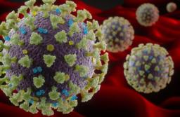 Coronavirus: Did COVID-19 leak from Chinese or US lab?